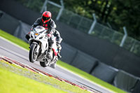 PJ-Motorsport-2019;anglesey;brands-hatch;cadwell-park;croft;donington-park;enduro-digital-images;event-digital-images;eventdigitalimages;mallory;no-limits;oulton-park;peter-wileman-photography;racing-digital-images;silverstone;snetterton;trackday-digital-images;trackday-photos;vmcc-banbury-run;welsh-2-day-enduro